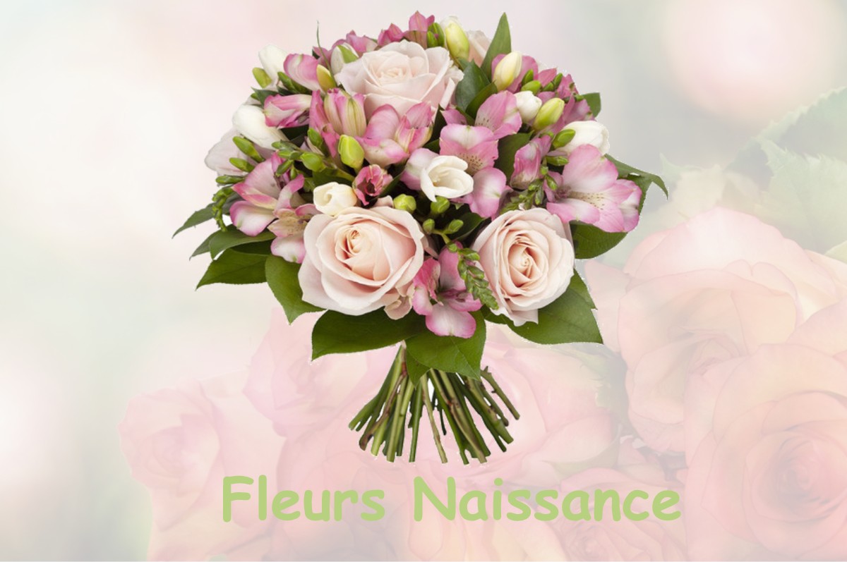 fleurs naissance FLINS-NEUVE-EGLISE